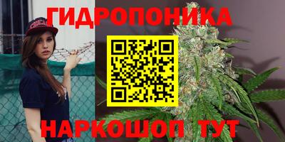 ECSTASY Нальчик